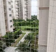 4 BHK for sale in ULM AMANGANI Rewari