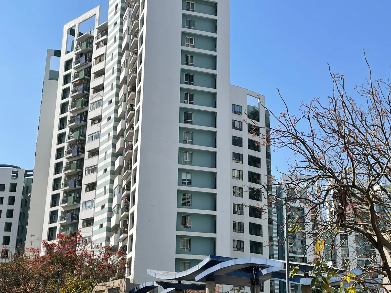 Flats for rent in Sector 50